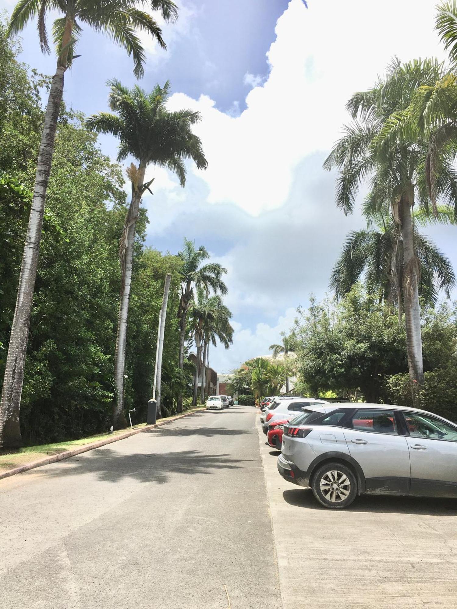 Appartement St Francois Manganao Guadeloupe Saint-Francois  Zewnętrze zdjęcie