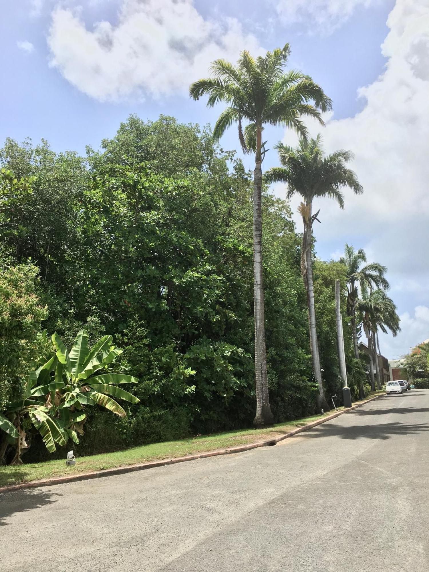 Appartement St Francois Manganao Guadeloupe Saint-Francois  Zewnętrze zdjęcie